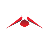 Red-tail Roofing